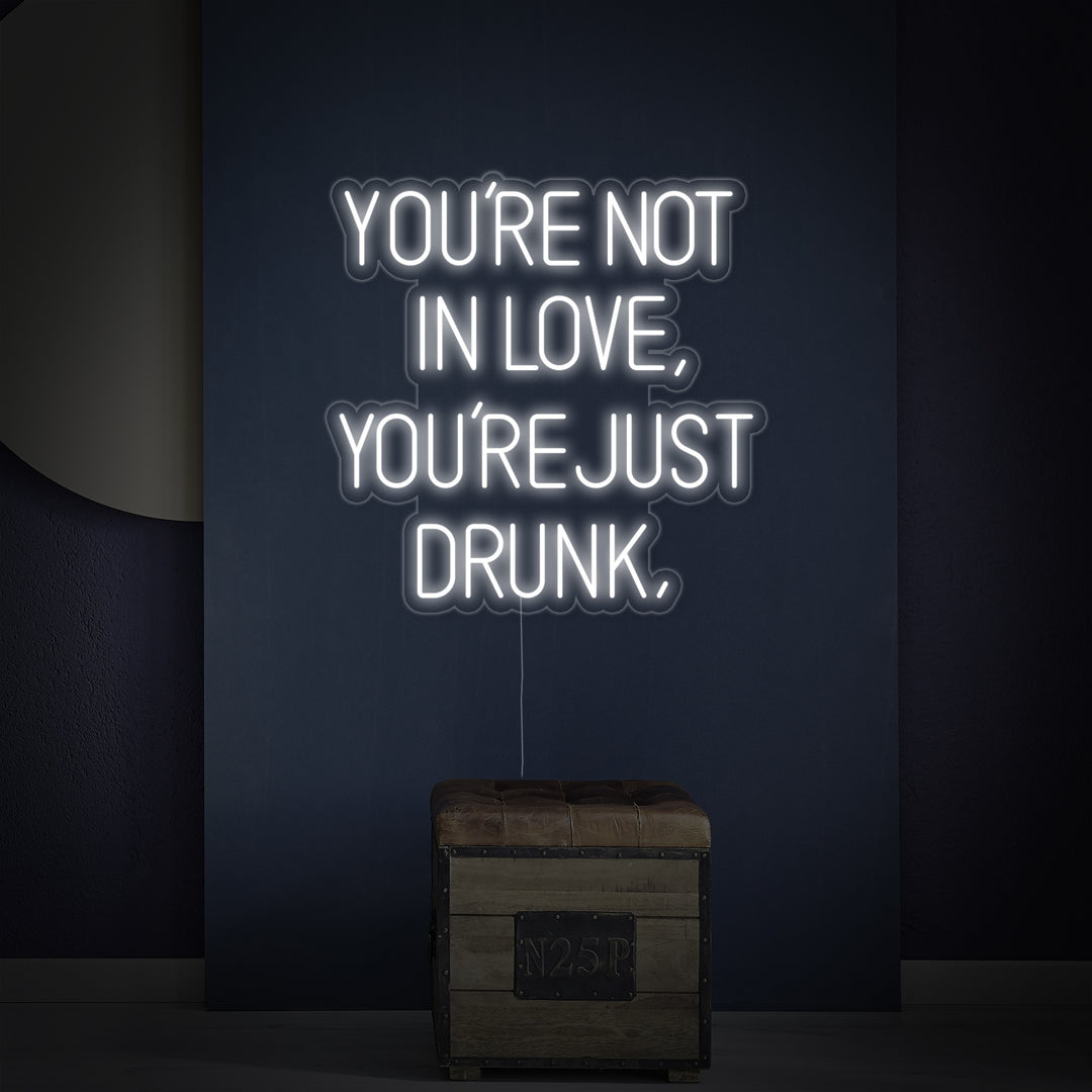 "You Are Not In Love You Just Drunk" Enseigne Lumineuse en Néon