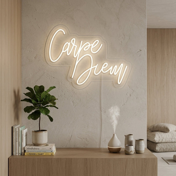 "Carpe Diem, Latin, Seize the day" Enseigne Lumineuse en Néon