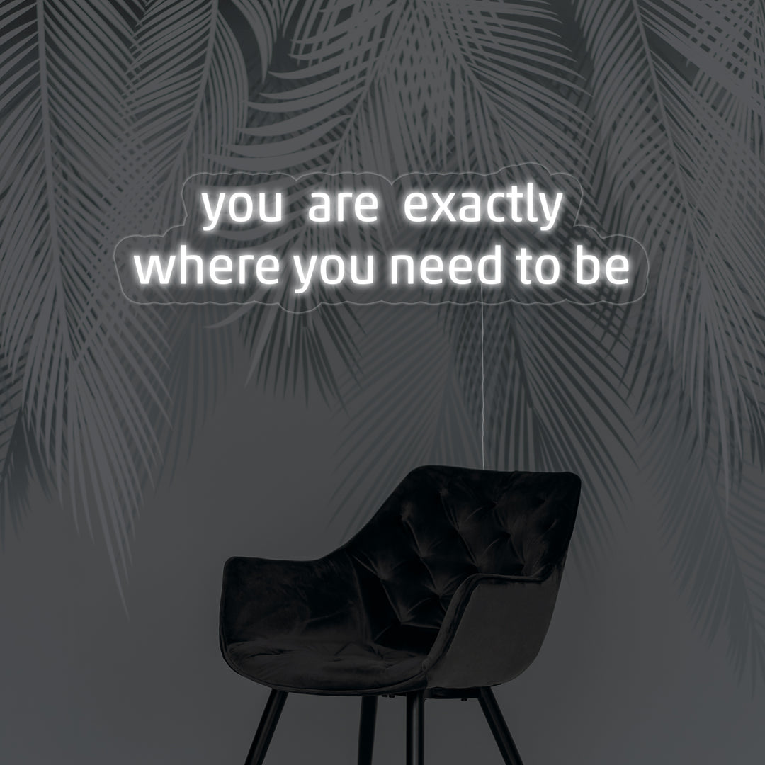 "You Are Exactly Where You Need To Be" Enseigne Lumineuse en Néon